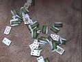 Cardhouse