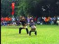 silat pulut2