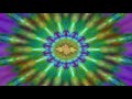 13th Floor Elevators: Rose And The Thorn