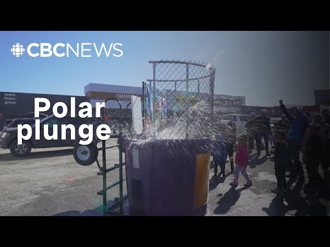 Il tuffo polare raccoglie fondi per le Olimpiadi speciali | CBC British Columbia Il tuffo polare raccoglie fondi per le Olimpiadi speciali | CBC British Columbia