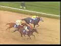 Personal Ensign - 1988 Breeders\