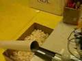 Suicchi at work (JAP sucks!)