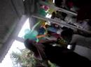 farra no niver so s. Jucelino