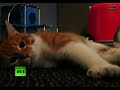 smallvideo