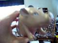 clip video Pig Closer