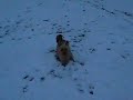 Cliquez pour voir la vid�o