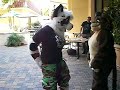 Fursuit Pants Fursuit Pants
