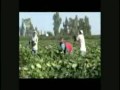 greatest barack obama music videos mix latinos viva obama tx