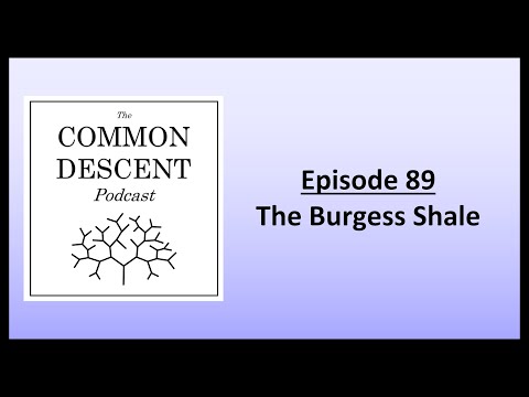 Episode 89 - The Burgess Shale