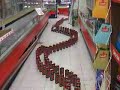 Domino dans un supermarché Domino dans un supermarché