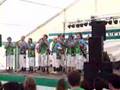 La rumba del mellao (Los prejubilaos)