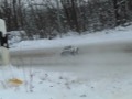 BCD - Snowdevil Traxas Slash VXL