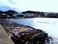 七ヶ浜 花淵浜