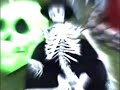 Webshots Reel 9: Halloween Horror Webshots Reel 9: Halloween Horror