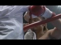kazuya yasuhiro vs andy souwer(http://herroi.tr.gg) kazuya yasuhiro vs andy souwer(http://herroi.tr.gg)