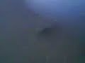 drugo.html