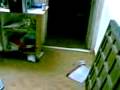videos de My Home Sink in Water