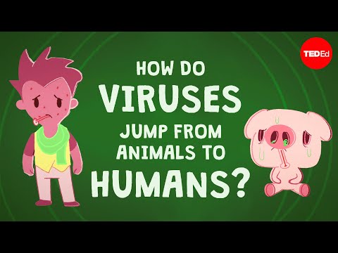 Lesson 15. How do viruses jump from animals to humans? Thumbnail