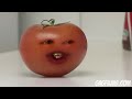 The Annoying Orange 3 TOE-MAY-TOE