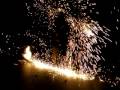 Fire-Wire-Swing