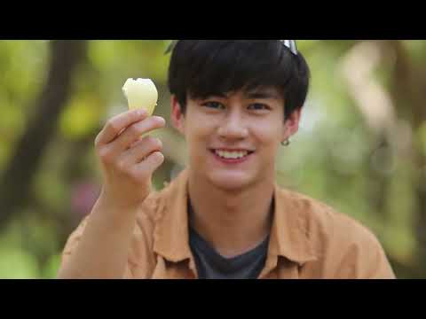 อัตลักษณ์ผลไม้08 ทุเรียนหมอนทองเขาบรรทัด จังหวัดตราด คุณภาพโดนใจ