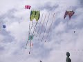 Echar a volar-