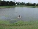 Fawkes Water Retrieval Fawkes Water Retrieval
