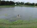 Fawkes Water Retrieval