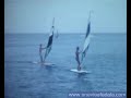 videos voile