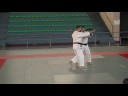 Etude du Ju no kata Etude du Ju no kata