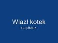 Wlazł kotek na płotek