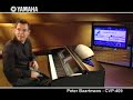 Peter Baartmans and the Yamaha CVP-409 Peter Baartmans and the Yamaha CVP-409