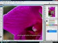 Learn Photoshop - Background Removal
