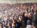 Levski fans in Nadejda