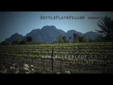 Allée Bleue – Maiden MCC Rose Brut 2009 photo