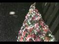 videos de Holiday Cheers!