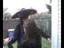 baila laleh baila 2� parte