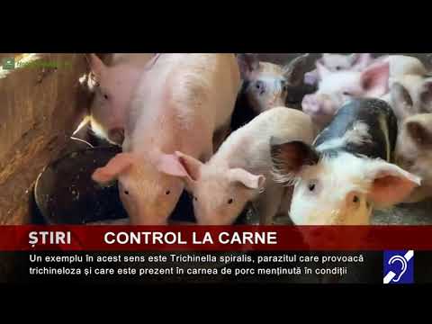 Controale la carne de porc, înainte de Crăciun