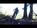 RHUK Bergamont Bikes
