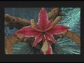 FFIX - Male only challenge - Plant Brain