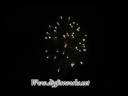 DC07013.wmv