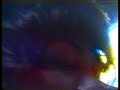 invisible sin desaparecer del todo by sibyl vane (directed by  mar�al for�s)