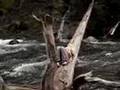 Carrie Elkin Danny Schmidt at waterfall Montana Storyhill Fe