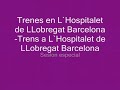 diferentes trenes de la serie 440 