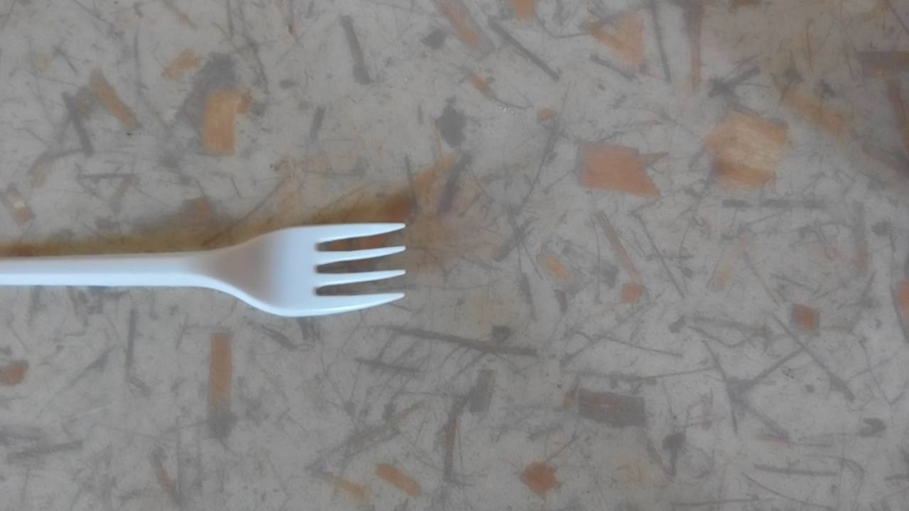 GUINEA FORK