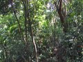 FOS Zipline 11 FOS Zipline 11