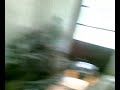 Alba AAMP - free flv video @ vwatch.tv
