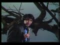 Sandro de america Te propongo.flv