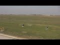 Runaway dog, Belgrade airport xz.10.2008