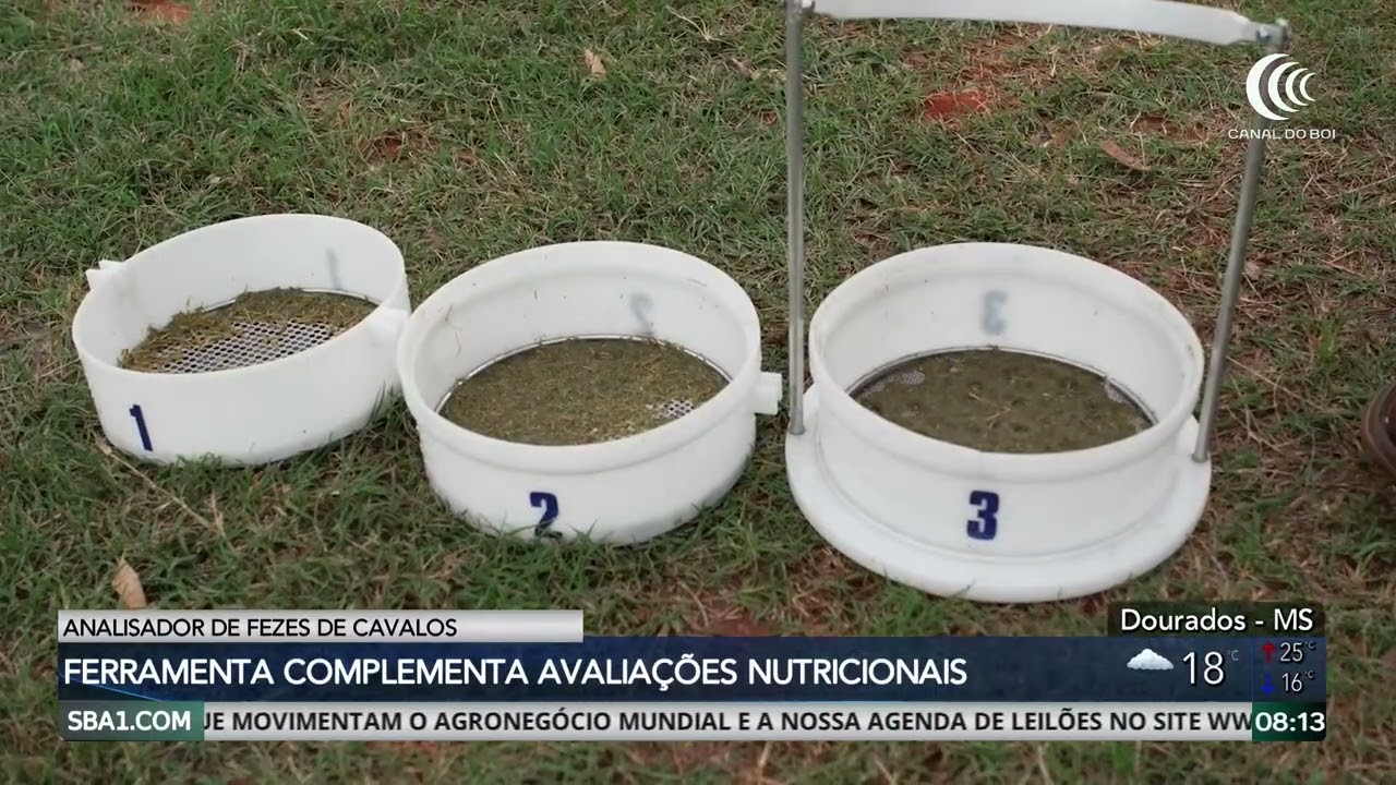 Ferramenta ajuda a analisar a nutrição dos cavalos nas fezes